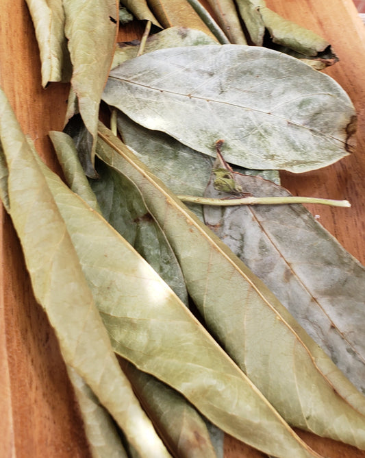 Soursop Leaves